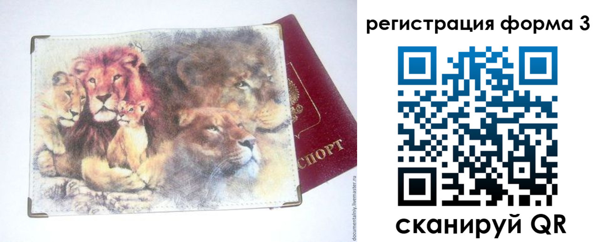 прописка в квартире в Дигоре